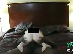 黒モレルはすぐにそれが猫の匂いを吸い始め ...