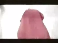 美女はレンズの前で裸になって躊躇しないで ...
