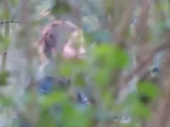 性転換の女の子fucks彼女のお尻にディ ...