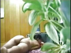 骨の雌犬は、マットレスのモバイル、ストリ ...